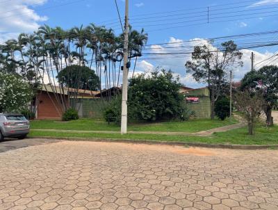 imagem-miniatura