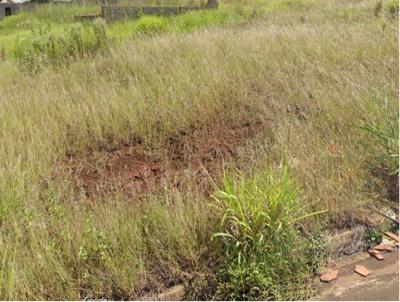 Terreno para Venda, em Pirassununga, bairro Terrazul