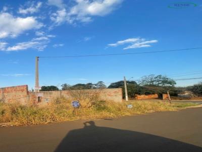 Terreno para Venda, em Pirassununga, bairro Jardim So Joo