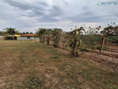 Chcara para Venda, em Pirassununga, bairro Vertentes do Mamonal