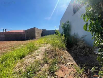 Terreno para Venda, em Pirassununga, bairro Jardim Alto das �rvores