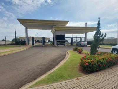Terreno para Venda, em Pirassununga, bairro Vila Santa Terezinha