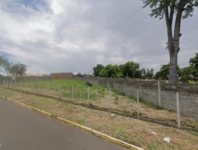 Terreno para Venda, em Pirassununga, bairro Jardim Petr�polis